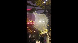 Mystery creature spotted on a phone screen during rain in China