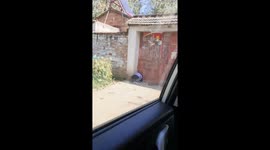 Chinese girl squeezes through dog door to visit grandma