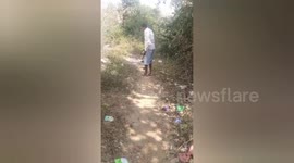 Social organisation teken out a box got stuck in the neck of a dog in Shahdol Madhya Pradesh