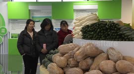 China: Farming tradition meets innovation in China's vegetable heartland