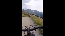 Friend saves rider from cow collision in Sölden, Austria