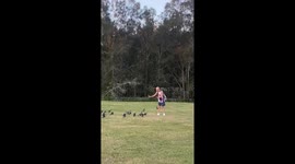 Person talks to birds in Gold Coast, Australia