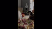 temp