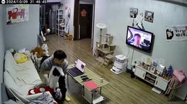 China: Take a Closer Look of These Cats