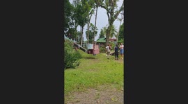 Teachers ride cheery picker crane to collect mangoes