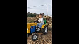 Mini tractor, major help: A boy in China joins harvest efforts with toy vehicle