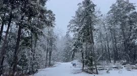US: First Snow Storm of the Season in Maine