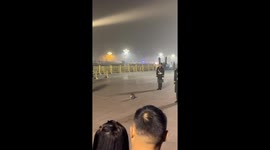 Cat crashes flag-raising event, charms spectators at Tiananmen Square