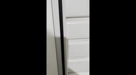 A beautiful orange cat is found behind the door