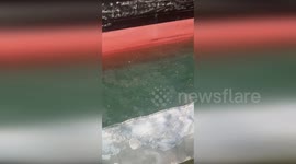 Puerto Rico: 1,000-Gallon Oil Spill Sparks Coast Guard Emergency Response in San Juan Harbor