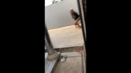 Dog attack incident in Johannesburg, South Africa