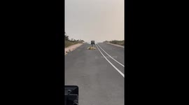 Car flips during stunt, crew rushes to help in Hyderabad, India