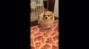 temp