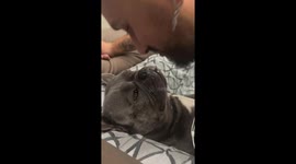 Sweet goodnight ritual with dog shared in Catania