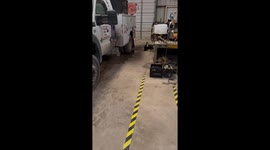 Raccoon caught climbing to steal tools in San Antonio, Texas, USA