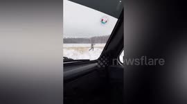 Wounded elk charges at hunter in bid for survival as he opens fire