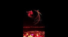 Spectacular drone show illuminates night sky in China
