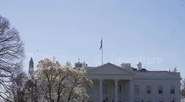 US: US working on Gaza ceasefire but there is still a long way to go (White House adviser)