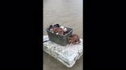 temp