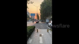 China: A Clever Golden Retriever Tripped Its Opponent During Race