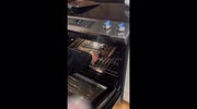 temp