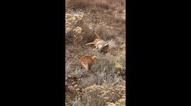 I told you what happened in the prior upload