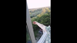 Feeding kites from the 7th floor in Novosibirsk