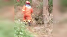 China: Elderly Man Rescued After Trapped by Animal Snare While Foraging in Jiangxi