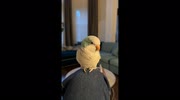 temp