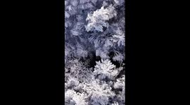 Snow blankets Jiuzhaigou