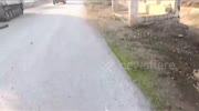 temp