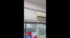 Green snake interrupts class as it crawls out of aircon