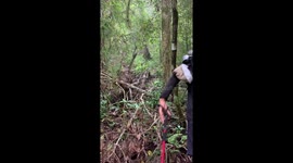 Sudden thunderclap surprises hikers in Lombok Timur, Indonesia