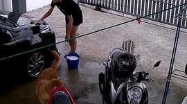 Dog puts face in soapy water, gets covered in lather in Thailand