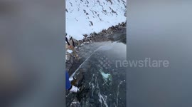 Couple discovers lamb frozen under crystal-clear lake ice