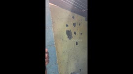 Banker’s bathroom surprise: Snake stuck in the restroom wall sparks panic