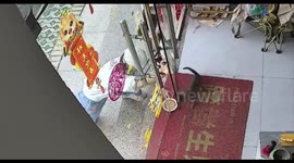 Comical struggle: The amusing effort to pull a cat outside for a meal in China