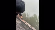 temp