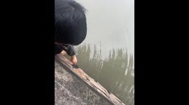 Rescuing a drowning kitten in China