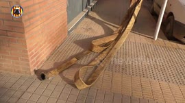 Spain: The Valencia Fire Department is clearing the lifts of the estates, whose moats are clogged with mud