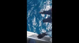 First-person view of helicopter rescue in south China