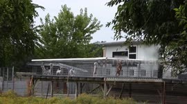 US: Undercover Videos Expose Cruel Puppy Mills Supplying Pet Stores