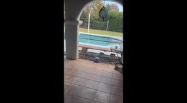 Unusual pool waves spark earthquake suspicion in Chico, California, USA