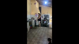 Woman fends off bat with broom as playful dog adds chaos in Encarnación, Paraguay