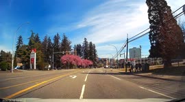 Red Light Runner Narrowly Avoids Motorbike Collision