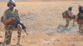 Nigerian military kills 8,034 suspected gunmen in 11 months