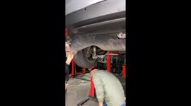 Car owner drives 20km before realising there was a kitten stuck inside vehicle - motorists eventually adopt feline