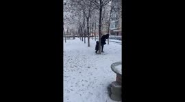 Father accidentally knocks down son while playing in the snow in Xinjiang, China