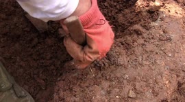 China discovers landmark human evolution fossils