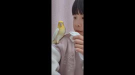 Daughter teaches parrot to talk in Jiangxi, China